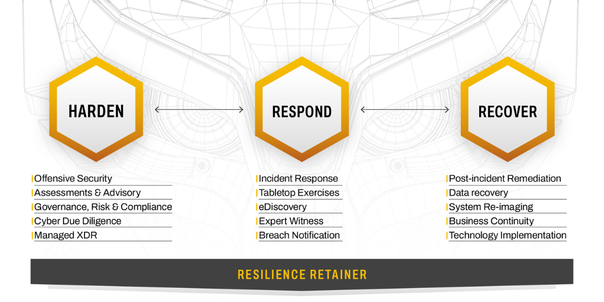 cybereason consulting infographic